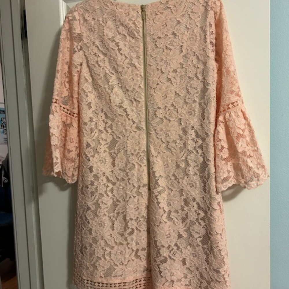 Eliza J Lace Dress, Bell Sleeves, Size 10 - Picture 6 of 7